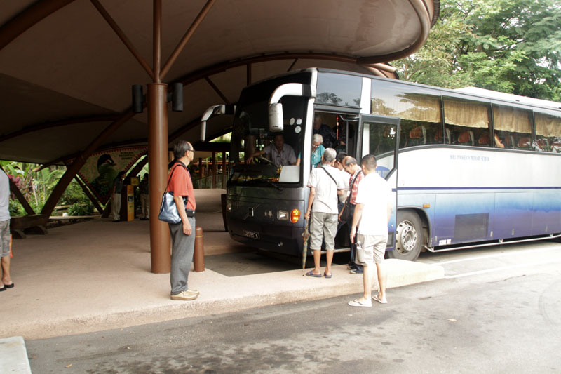 @ Jurong Bird Park Car Park