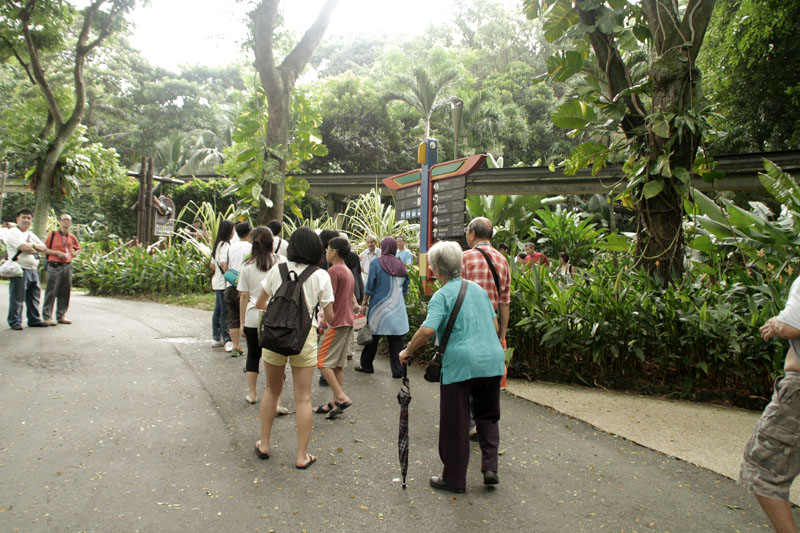 Walking in Jurong Bird Park